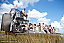 Taking an airboat ride.